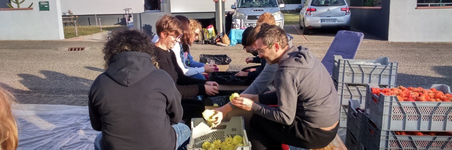 Fête des vendanges Edition 2018 | Barr