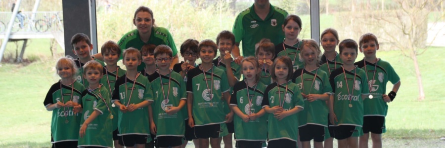 Ecole de Handball | Journée du 17/03/2019 à Barr !