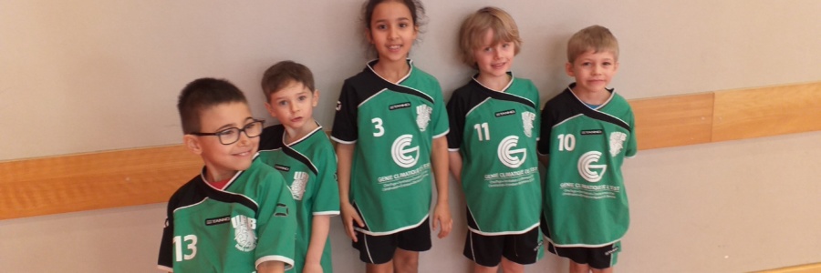 Ecole de Handball | Journée du 26/01/2020 à Obernai