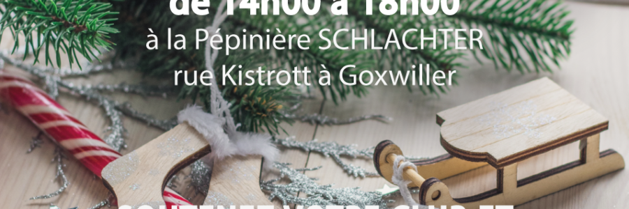 Vente de sapins de Noël – Rdv le 12 décembre 2020